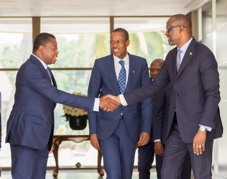 Diplomatie : Abdoulaye Diop fait le point de la situation sociopolitique au Mali au Chef de l’État Faure Essozimna Gnassingbé