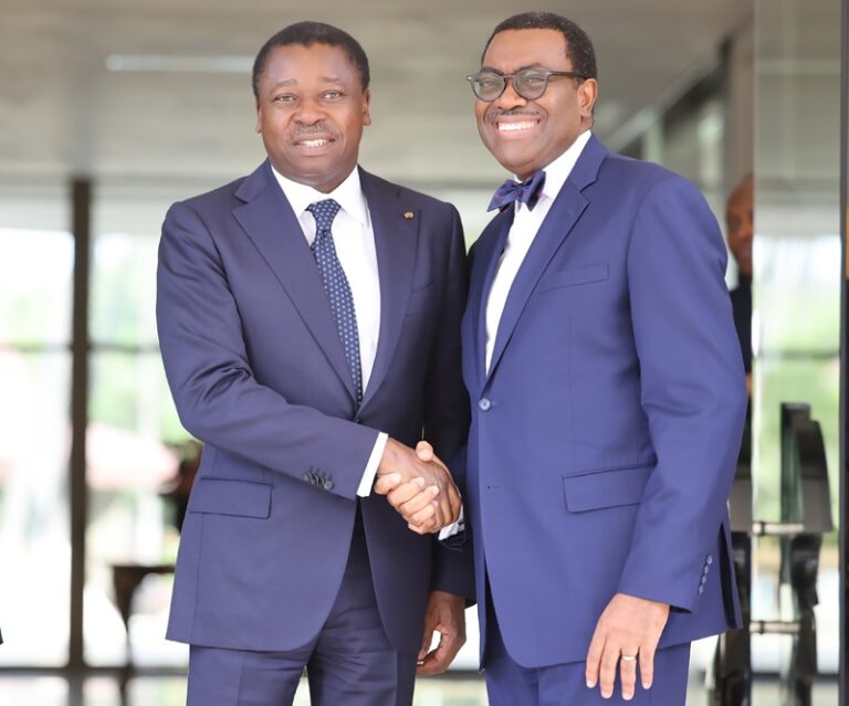 Togo/Faure Gnassingbé et Akinwumi Adesina, très préoccupés par l’industrialisation du pays et le développement des infrastructures socio-économiques