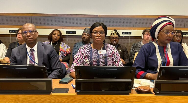 68ème session de la Commission de la condition de la femme aux États-Unis : Une conférence parallèle animée par le Togo et ses partenaires au développement