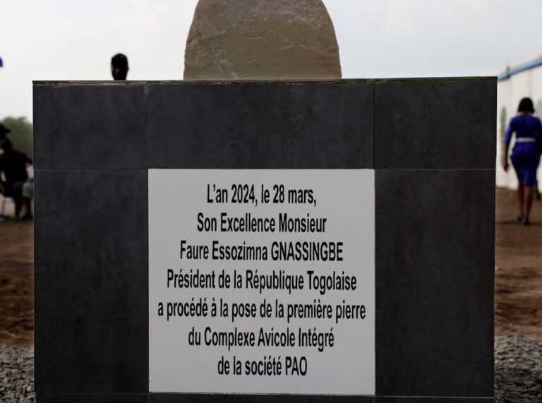Agro-industrie : Le Togo s’engage véritablement dans le développement de la filière avicole intégrée