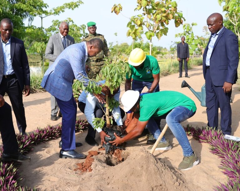 Togo/Faure Gnassingbé a son Baobab à Aného