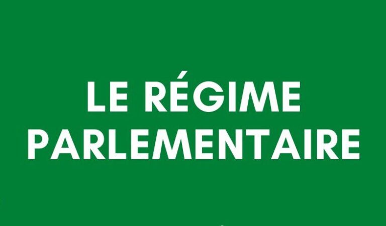 Les députés basculent le Togo en régime parlementaire