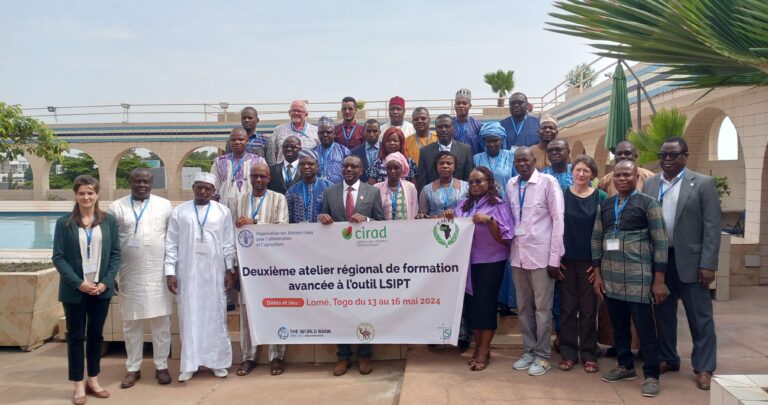 Secteur de l’élevage : Les outils LSIPT et GLEAM-I de la FAO au cœur d’une 2ème formation avancée à Lomé