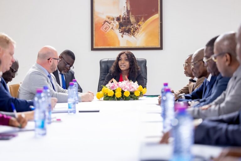 Coopération : Le Togo et les États-Unis d’Amérique approfondissent leur partenariat économique