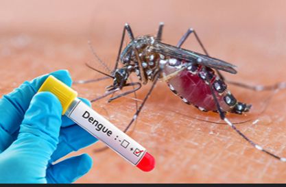 Togo: Éviter la dengue