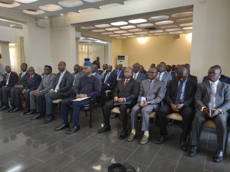 Les ambassadeurs et Chefs de mission diplomatique du Togo à l’extérieur revêtus de la nouvelle constitution 