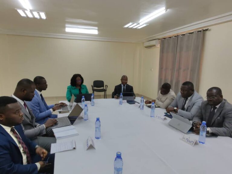 Togo/Le ministère des affaires étrangères présente le bilan de ses activités 2020-2024 à la CPES