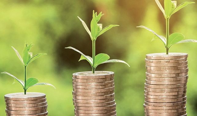 Climat des affaires : Togo, une terre florissante toujours ouverte aux investisseurs