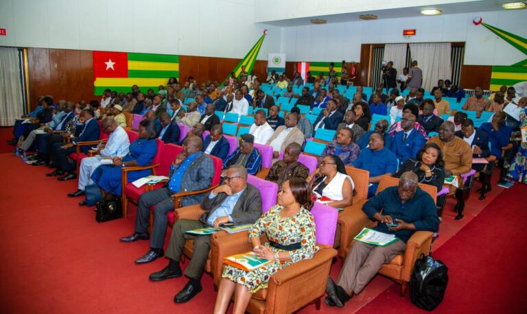 Togo: Les députés à l’école du régime parlementaire