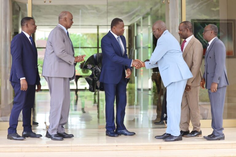 Religion et paix : Les nouvelles instances dirigeantes des AD présentées à Faure Gnassingbé