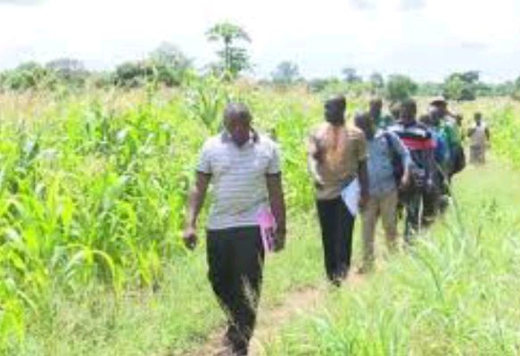 Togo/Le 5ème recensement agricole débute le 30 novembre : un enjeu pour l’avenir du secteur