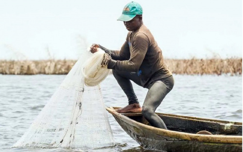 Togo/Reprise des activités de pêche sur le Lac Nangbéto : Conditions et réglementations renforcées