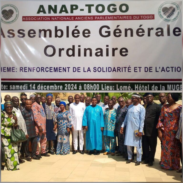 1ere AGO de l’ANAP-Togo : De nouvelles perspectives definies