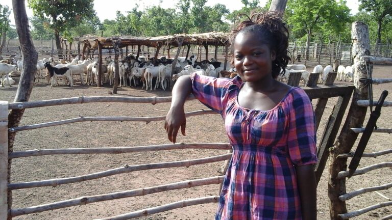 Un soutien constant et durable aux éleveurs togolais