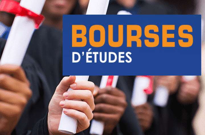 Togo: Appel à candidatures pour le programme de bourses « Eugen Ionescu » 2024-2025 en Roumanie