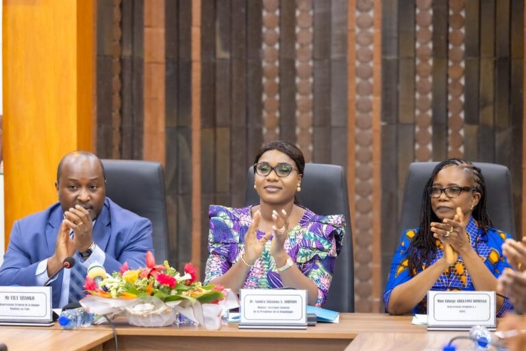 Togo : Les résultats du Cinquième Recensement Général de la Population et de l’Enquête sur la Pauvreté, présentés