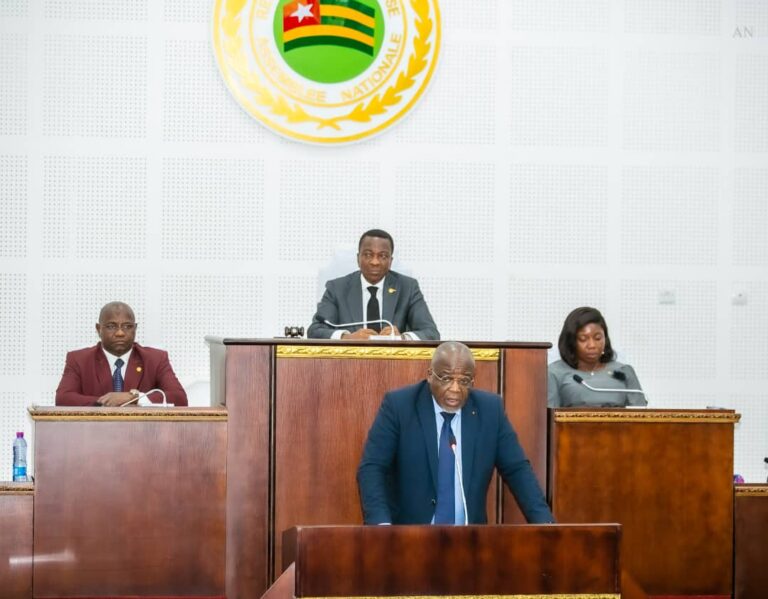 Effondrement du tablier Est de la passerelle d’Agoè-Zongo : la représentation nationale interroge le gouvernement