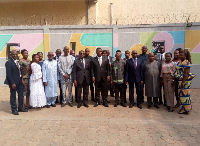 Élections sénatoriales au Togo : La Cour Constitutionnelle se prépare pour être à la mesure des enjeux 