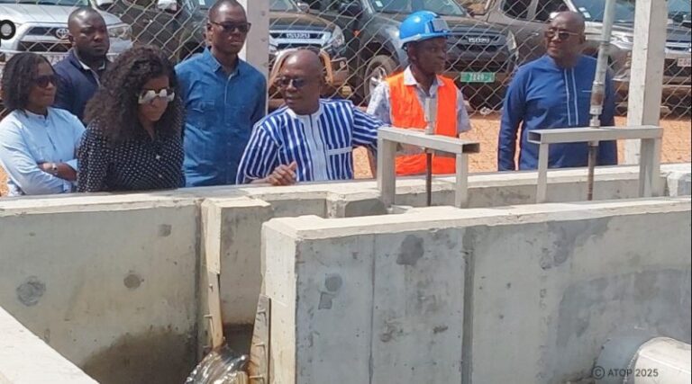 Togo/Eau et Assainissement dans les plateaux et Centrale: le ministre Mila Aziablé visite les ouvrages installés sur plusieurs sites