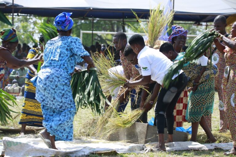 16ᵉ édition d’EWEMOZA : Célébration du riz local et des traditions à Kpélé Agavé du 13 au 15 mars 2025