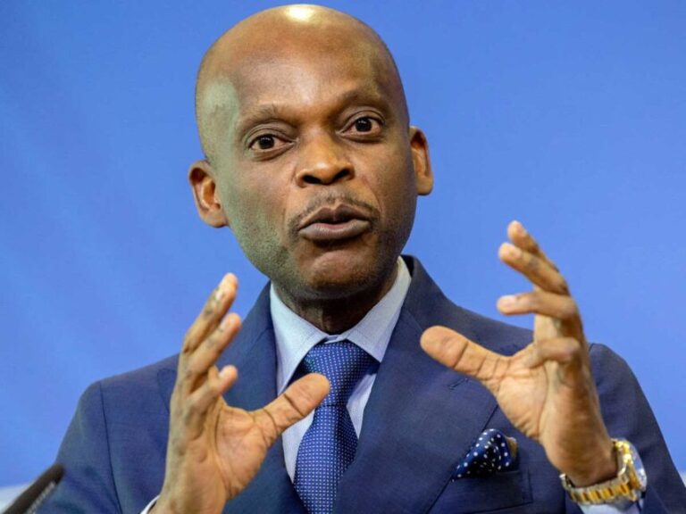 La diaspora togolaise invitée à s’inscrire dans une nouvelle base de données pour valoriser ses compétences
