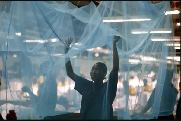 Lutte contre les maladies endémiques : un combat de tous les instants au Togo