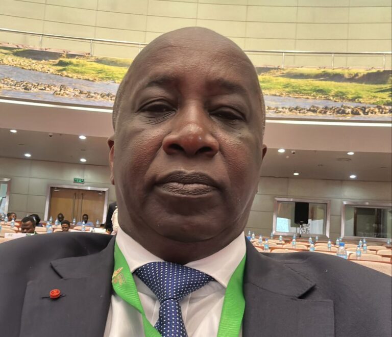 SEM Aly Touré représente la Côte d’Ivoire au 1er sommet mondial sur l’investissement dans le coton et le textile