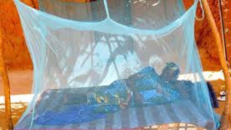 Togo : Des avancées majeures dans la lutte contre le paludisme