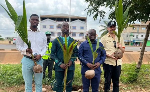 Togo : Une synergie verte entre la mairie Golfe 2 et l’association APEVIA