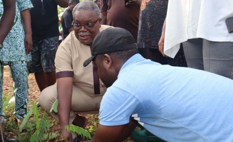 Agoè-Nyivé 1 : La Journée nationale de l’arbre célébrée dans un esprit citoyen