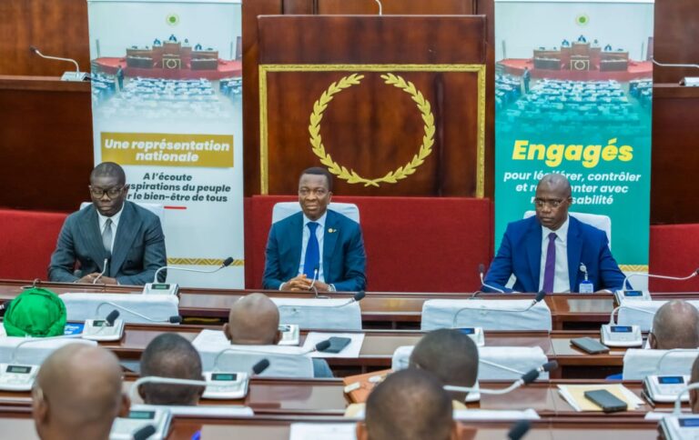 Togo : L’Assemblée nationale déclare la guerre aux «poisons déguisés en remèdes»