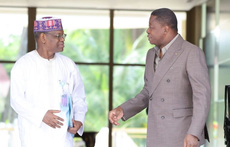 Coopération sanitaire : Le Président du Conseil Faure Gnassingbé et le Représentant par intérim de l’OMS au Togo font le point