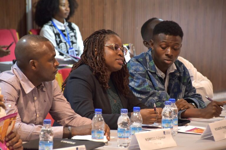 Appel à candidatures pour un programme d’éducation civique et politique pour la jeunesse togolaise