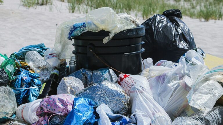 Traité mondial sur les plastiques : entre urgences environnementales et justice sociale