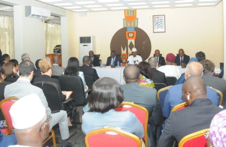 Togo : Le gouvernement fait un distinguo entre « le Togo réel » et le  « le Togo virtuel » aux missions diplomatiques