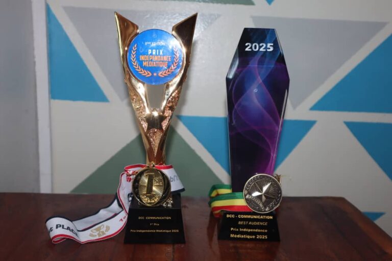 Prix indépendance médiatique international : le Togo remporte deux trophées!