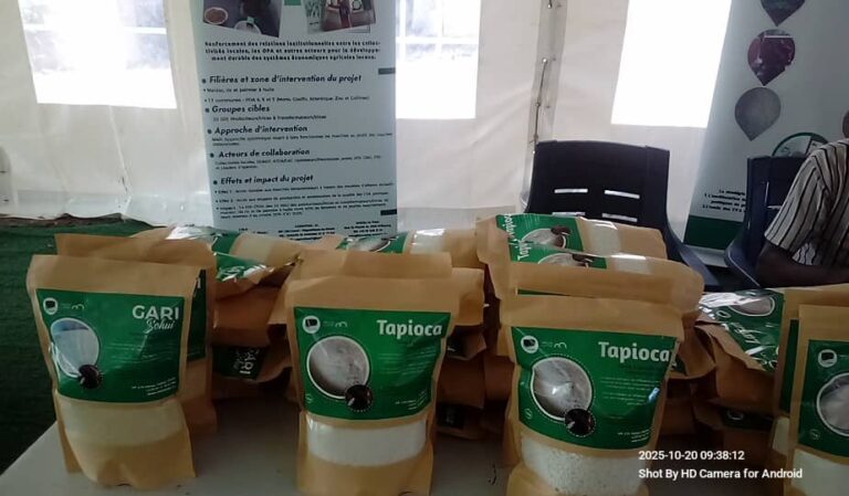 Kara : Mise en lumière des saveurs locales du Bénin et du Togo lors d’une mini-foire alimentaire
