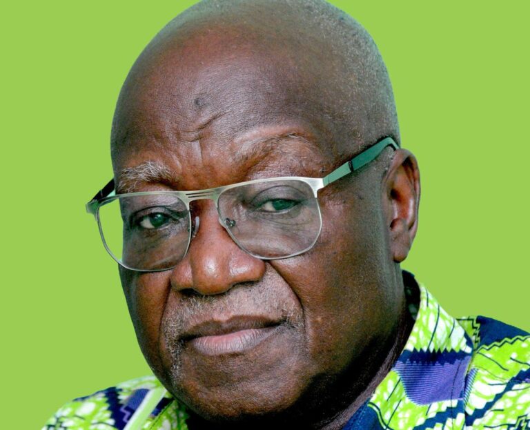 1er gouvernement de la Ve République : déjà un Togolais ouvertement mécontent ?