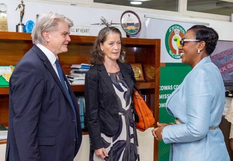 CEDEAO-Allemagne : un nouvel élan de coopération