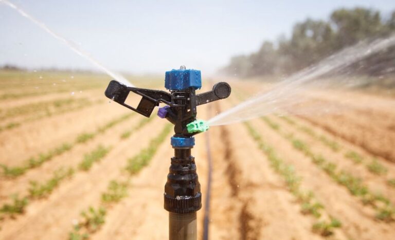 Transformer l’agriculture togolaise : L’expertise israélienne à l’honneur à travers un séminaire gratuit