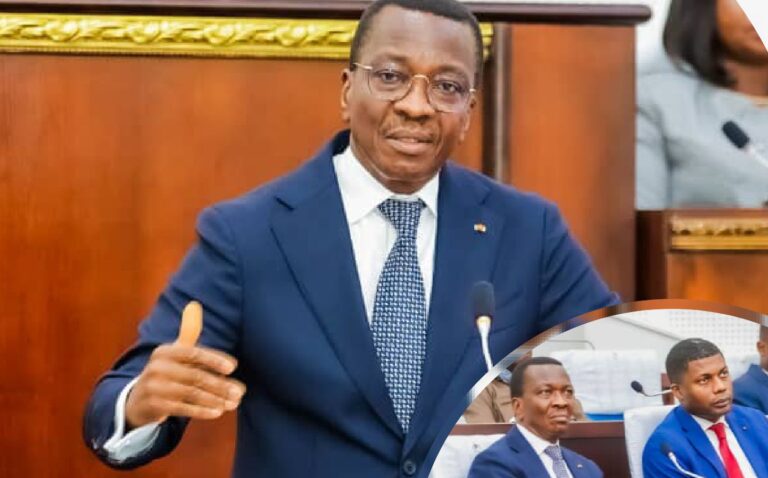 Question d’actualité à l’Assemblée nationale : Crise de l’eau potable dans certaines régions, les ministres Adedze et Alipiu montent au front