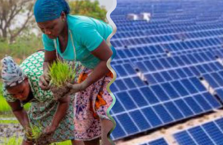 Agriculture et énergie : une synergie au service du développement durable