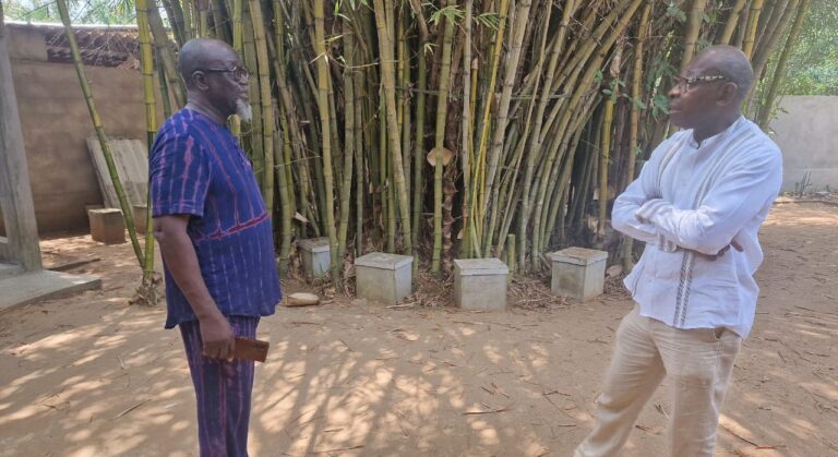 Kossi ASSOU, l’art togolais en majesté