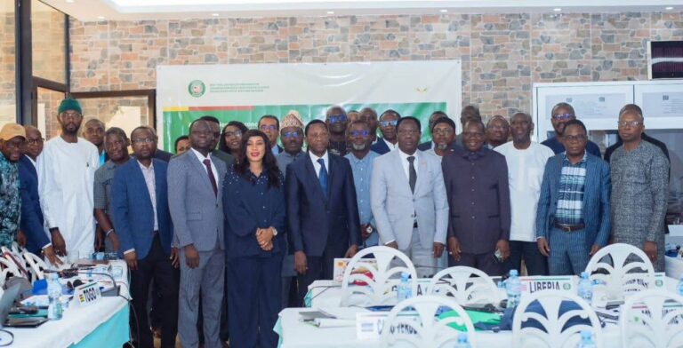 CEDEAO-OOAS : La stratégie d&rsquo;élimination du paludisme en cours depuis Conakry