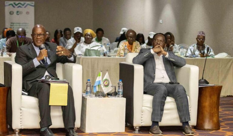 CEDEAO : une étape clé dans la lutte contre le paludisme et les décès maternels